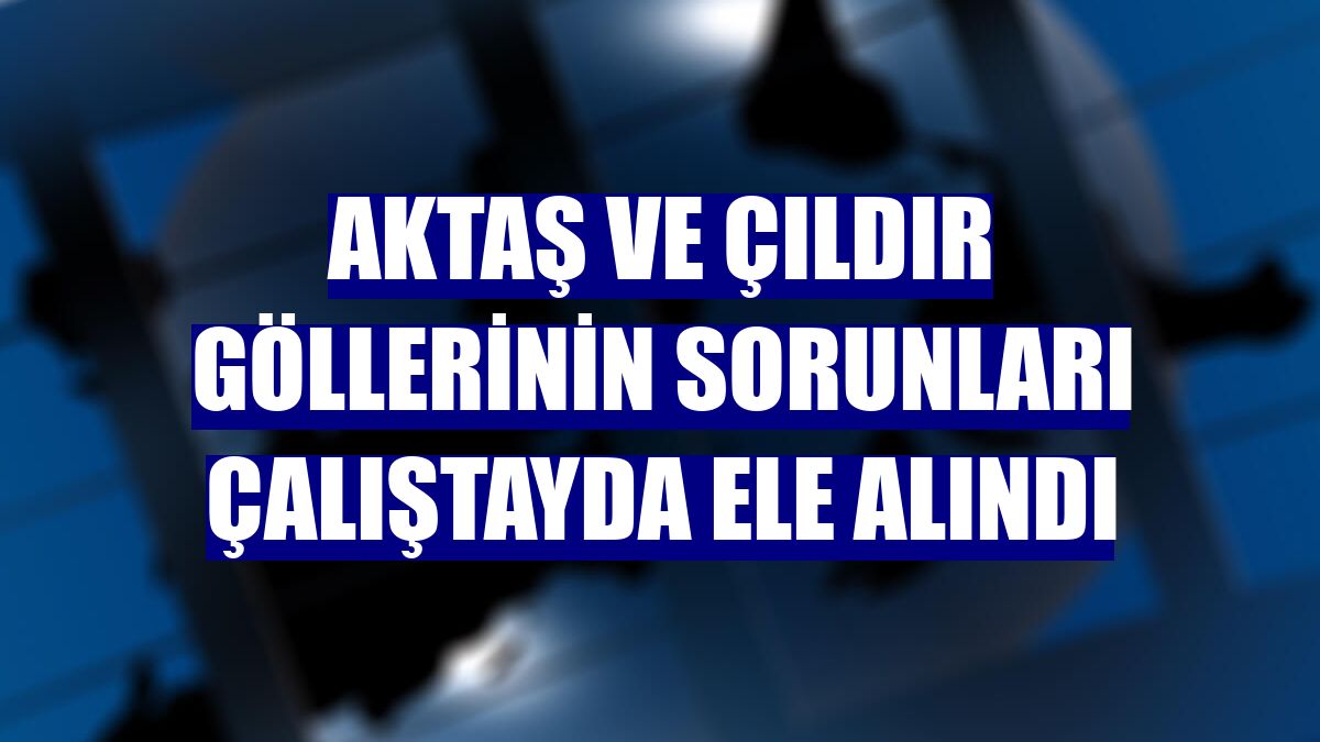 Aktaş ve Çıldır Göllerinin sorunları çalıştayda ele alındı