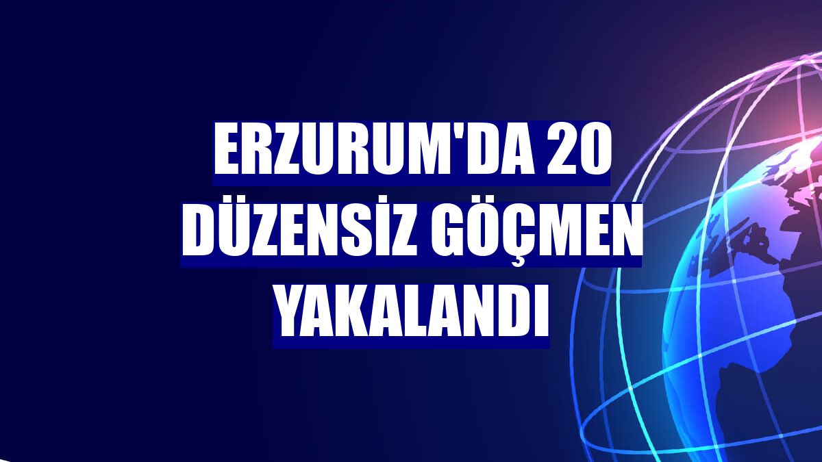 Erzurum'da 20 düzensiz göçmen yakalandı
