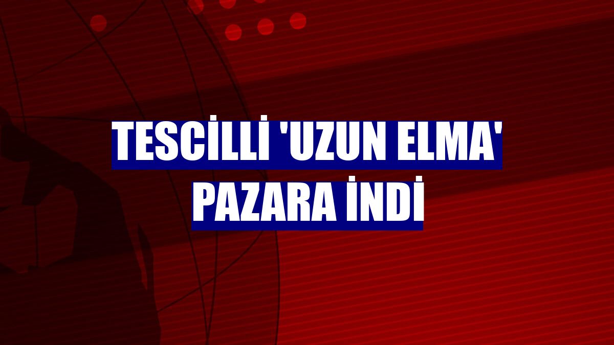 Tescilli 'uzun elma' pazara indi