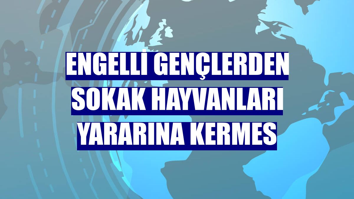 Engelli gençlerden sokak hayvanları yararına kermes