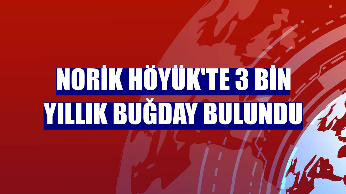 Norik Höyük'te 3 bin yıllık buğday bulundu