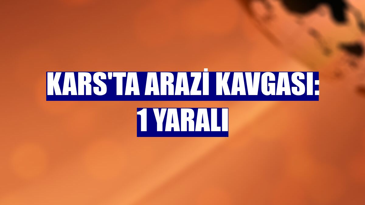 Kars'ta arazi kavgası: 1 yaralı