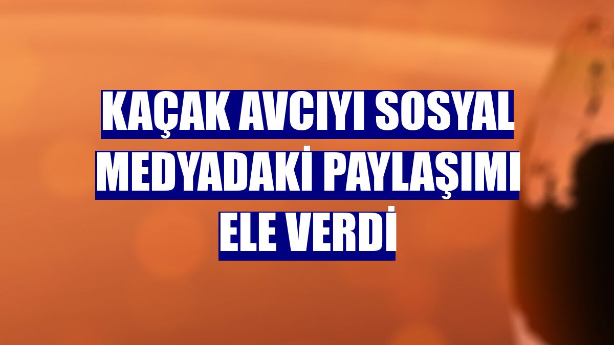 Kaçak avcıyı sosyal medyadaki paylaşımı ele verdi