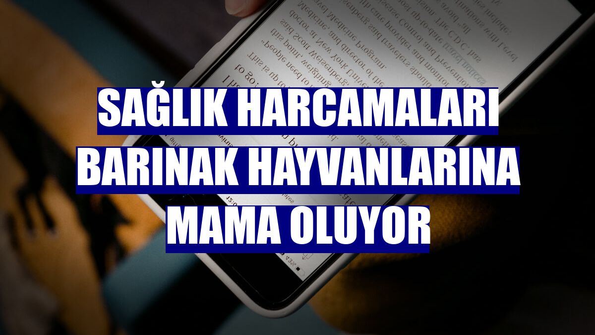 Sağlık harcamaları barınak hayvanlarına mama oluyor