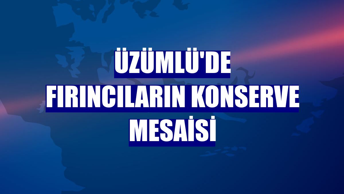 Üzümlü'de fırıncıların konserve mesaisi