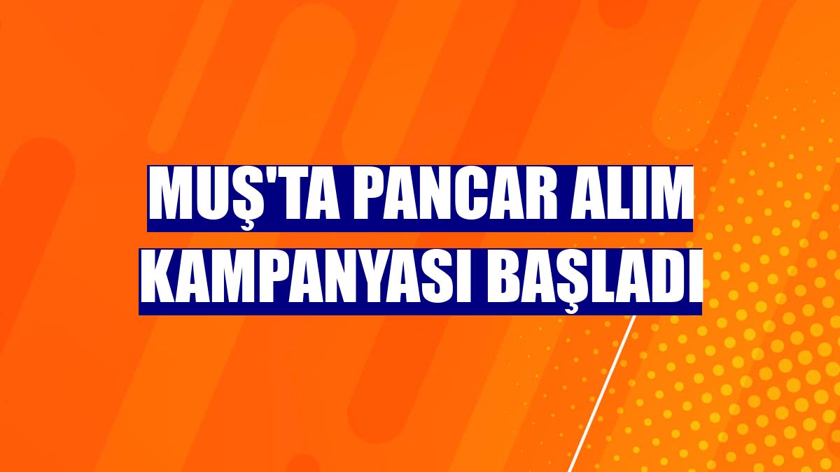 Muş'ta pancar alım kampanyası başladı