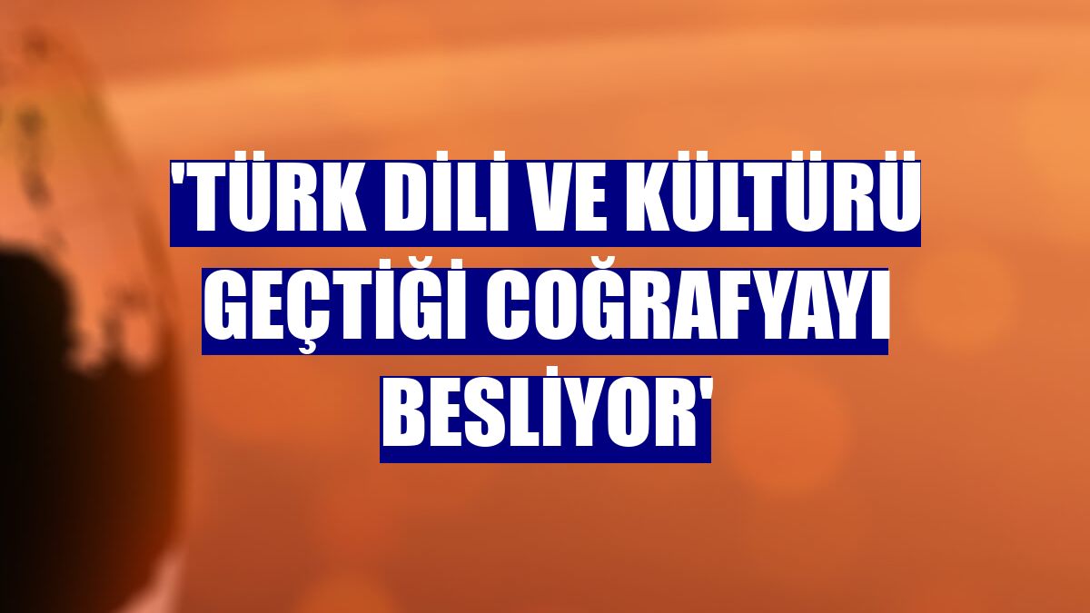 'Türk dili ve kültürü geçtiği coğrafyayı besliyor'
