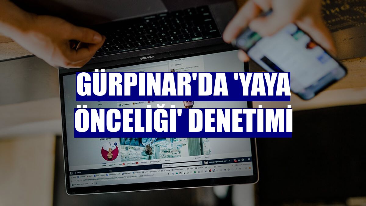 Gürpınar'da 'yaya önceliği' denetimi