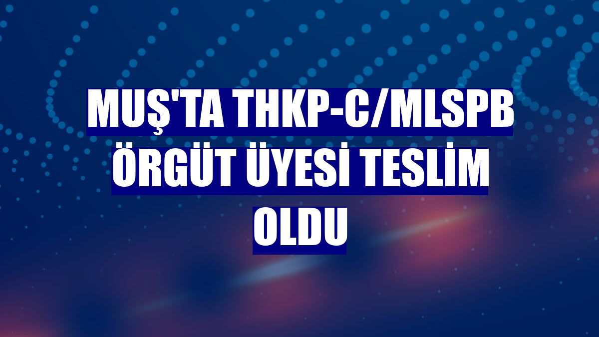 Muş'ta THKP-C/MLSPB örgüt üyesi teslim oldu
