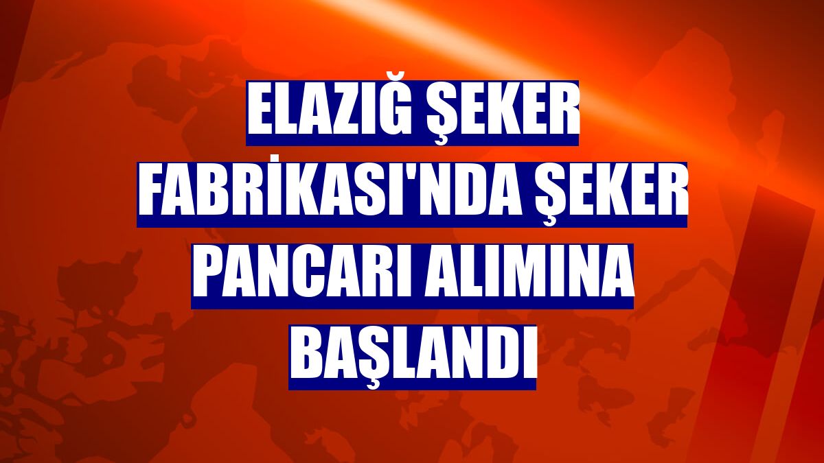 Elazığ Şeker Fabrikası'nda şeker pancarı alımına başlandı