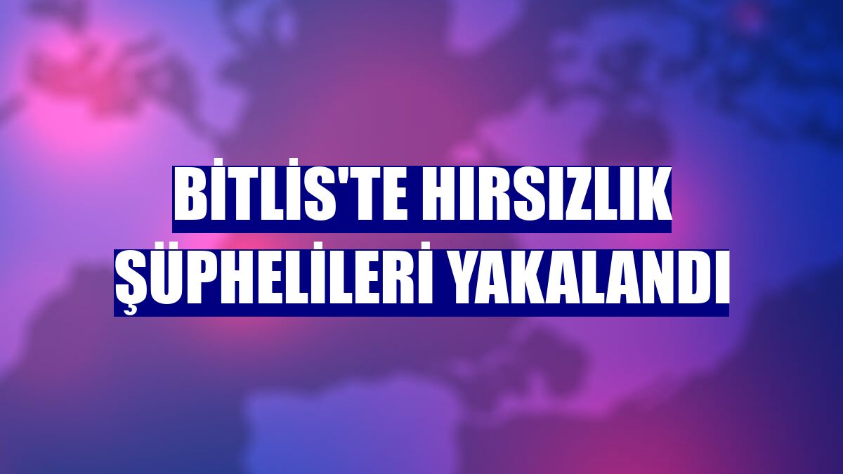 Bitlis'te hırsızlık şüphelileri yakalandı