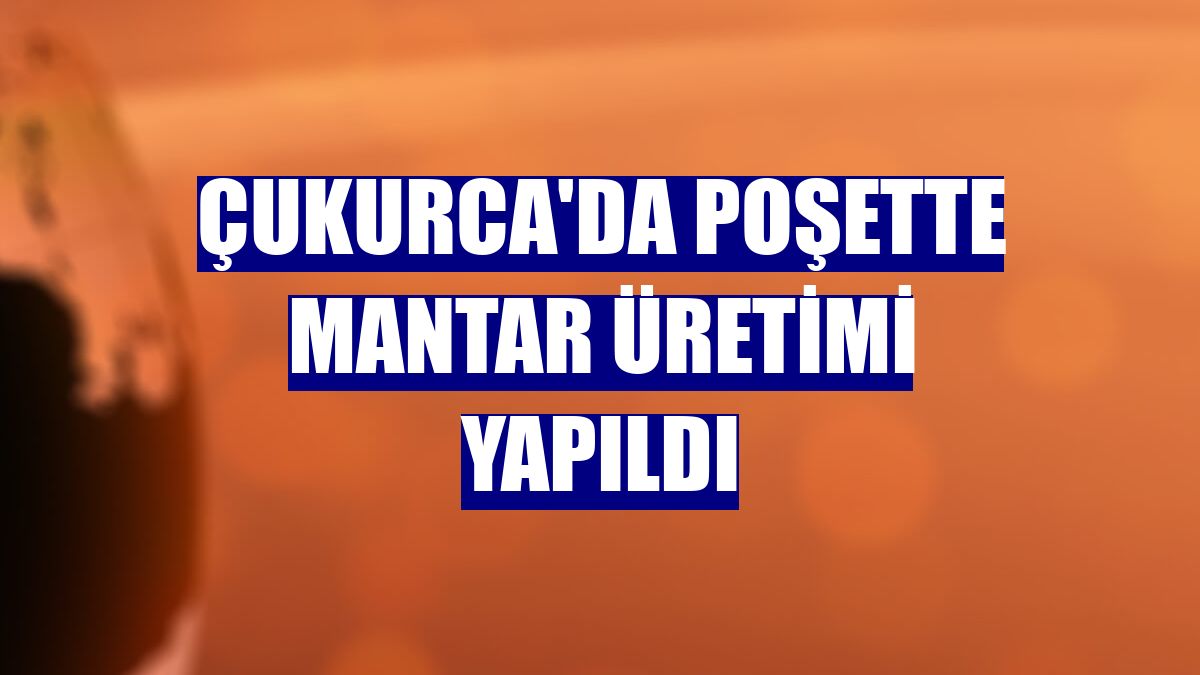 Çukurca'da poşette mantar üretimi yapıldı