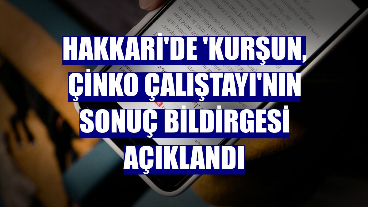 Hakkari'de 'Kurşun, Çinko Çalıştayı'nın sonuç bildirgesi açıklandı