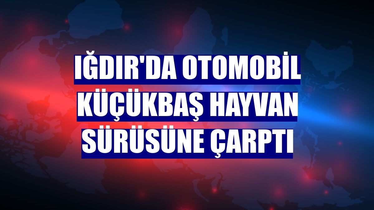 Iğdır'da otomobil küçükbaş hayvan sürüsüne çarptı