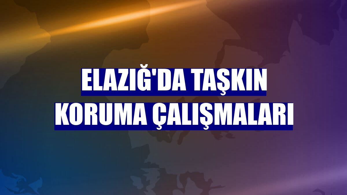 Elazığ'da taşkın koruma çalışmaları