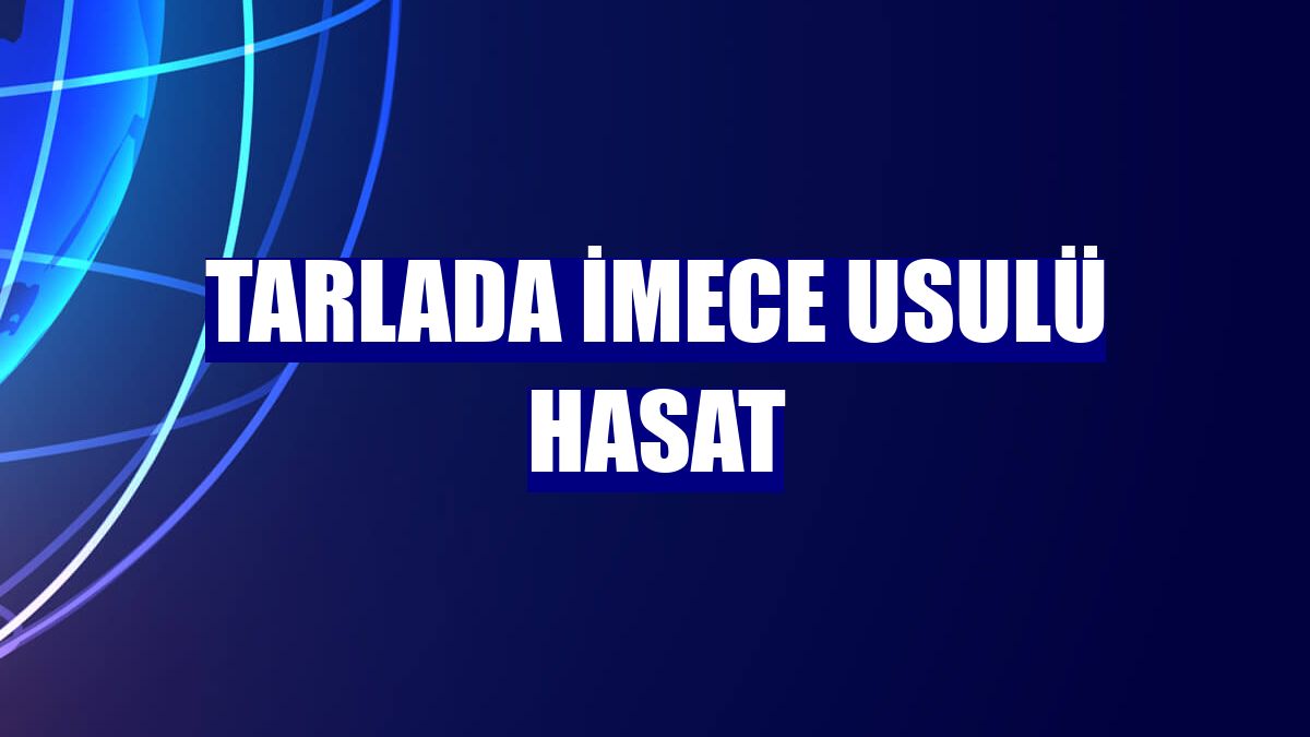 Tarlada imece usulü hasat