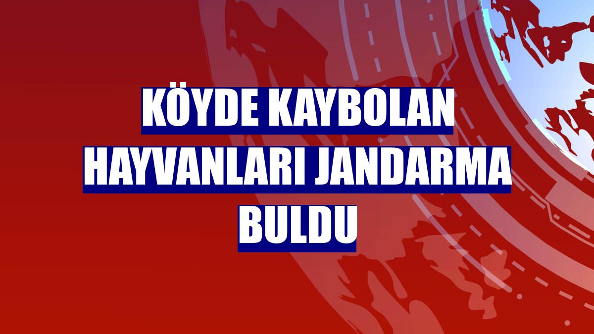 Köyde kaybolan hayvanları jandarma buldu