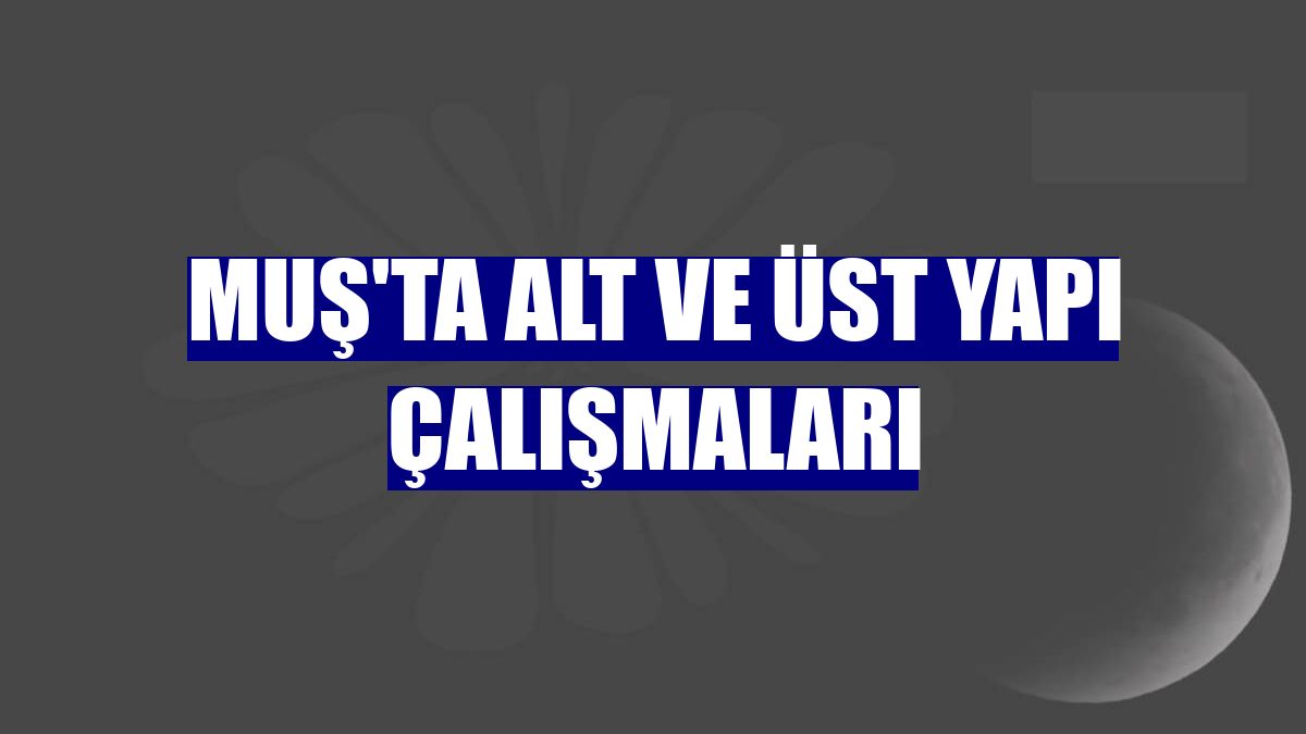 Muş'ta alt ve üst yapı çalışmaları