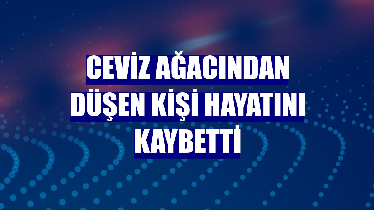 Ceviz ağacından düşen kişi hayatını kaybetti
