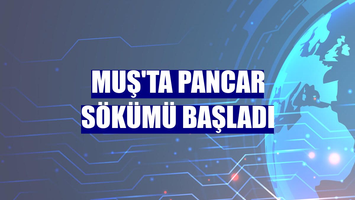 Muş'ta pancar sökümü başladı