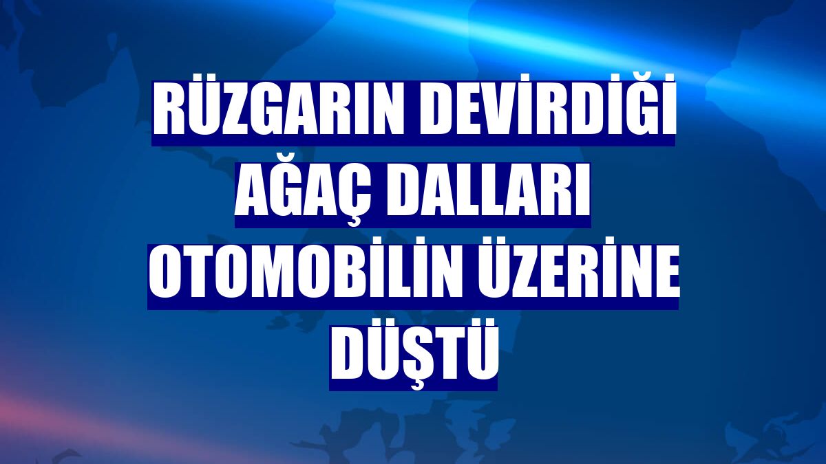 Rüzgarın devirdiği ağaç dalları otomobilin üzerine düştü