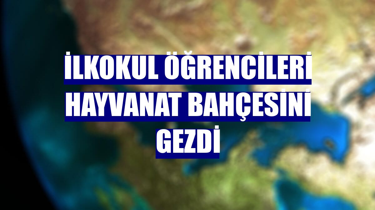İlkokul öğrencileri hayvanat bahçesini gezdi