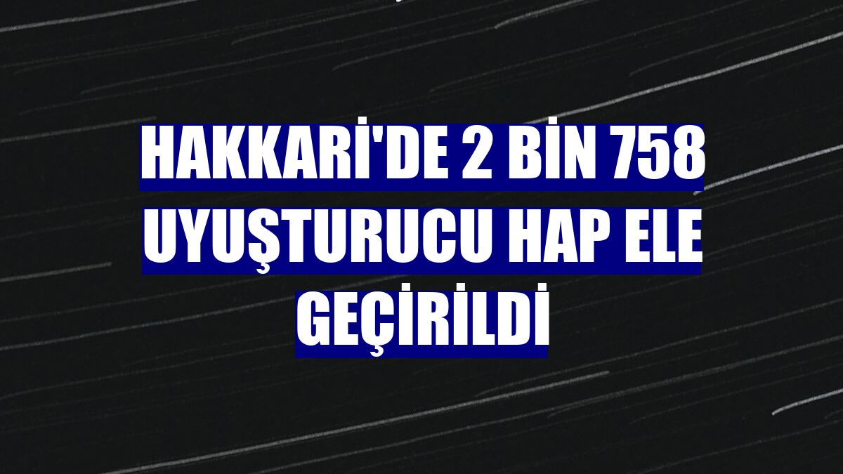 Hakkari'de 2 bin 758 uyuşturucu hap ele geçirildi