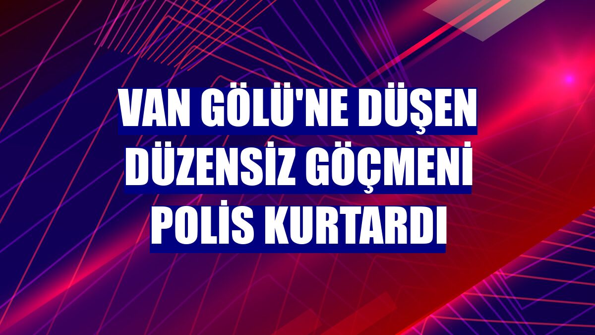 Van Gölü'ne düşen düzensiz göçmeni polis kurtardı