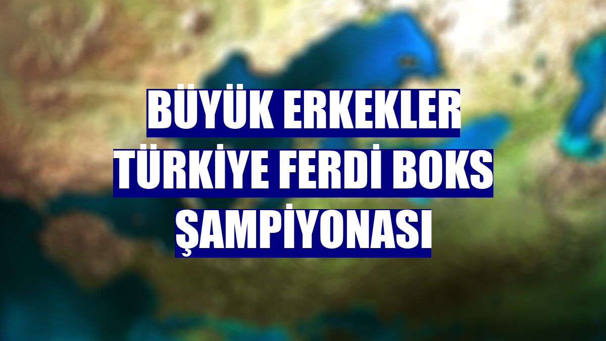 Büyük Erkekler Türkiye Ferdi Boks Şampiyonası