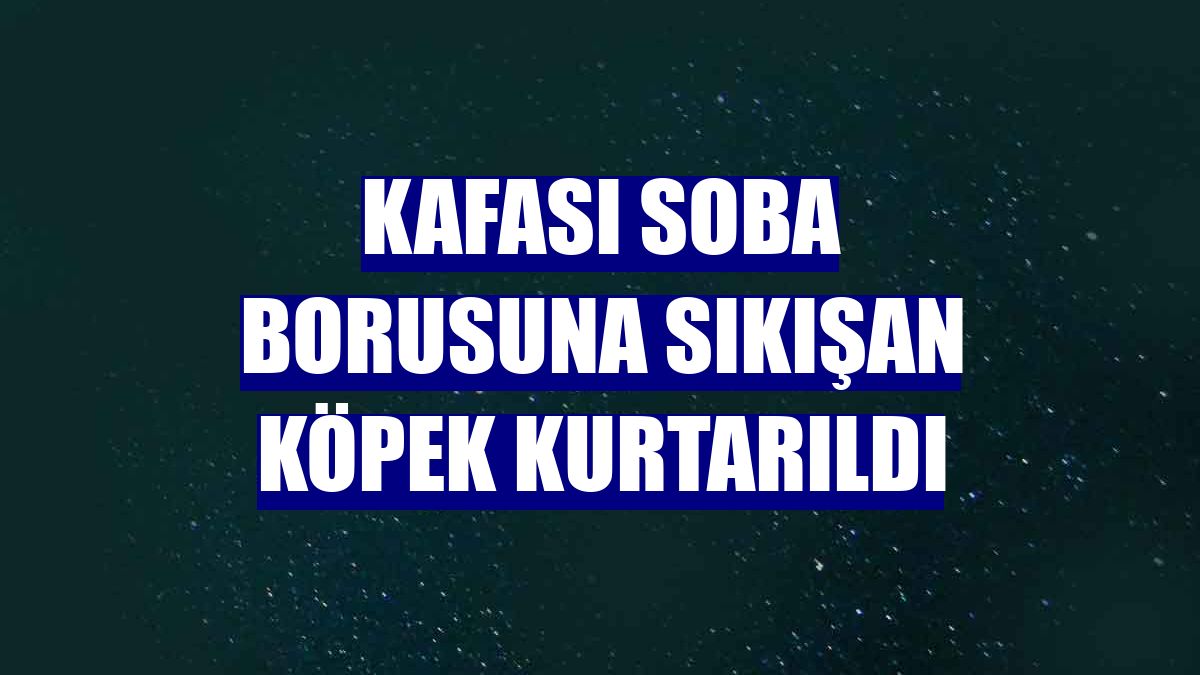 Kafası soba borusuna sıkışan köpek kurtarıldı