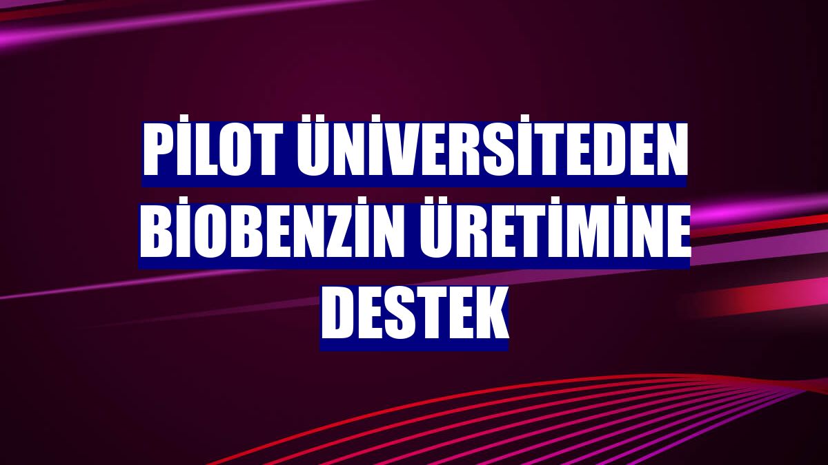 Pilot üniversiteden biobenzin üretimine destek