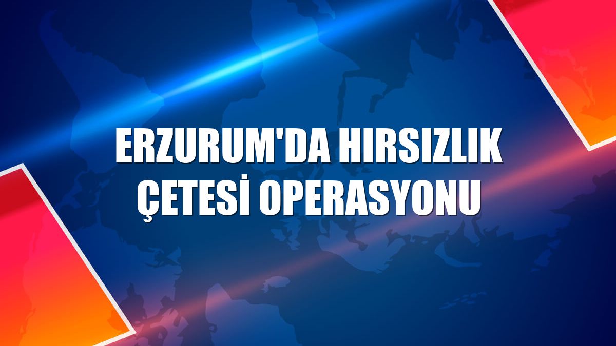 Erzurum'da hırsızlık çetesi operasyonu