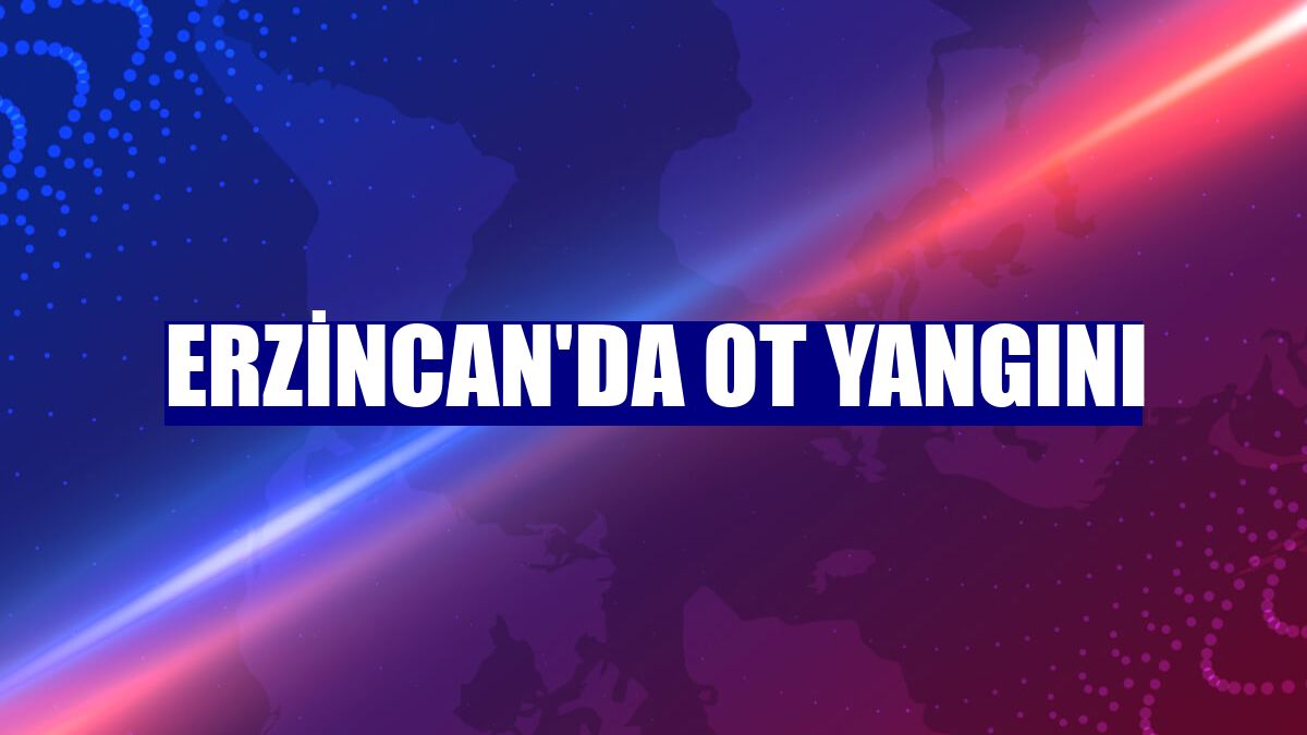 Erzincan'da ot yangını