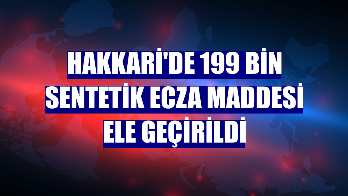 Hakkari'de 199 bin sentetik ecza maddesi ele geçirildi