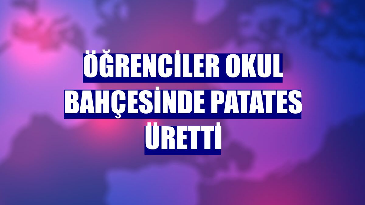 Öğrenciler okul bahçesinde patates üretti