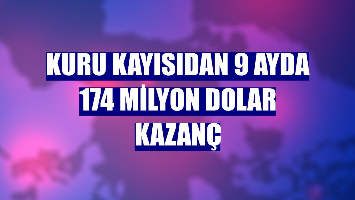 Kuru kayısıdan 9 ayda 174 milyon dolar kazanç