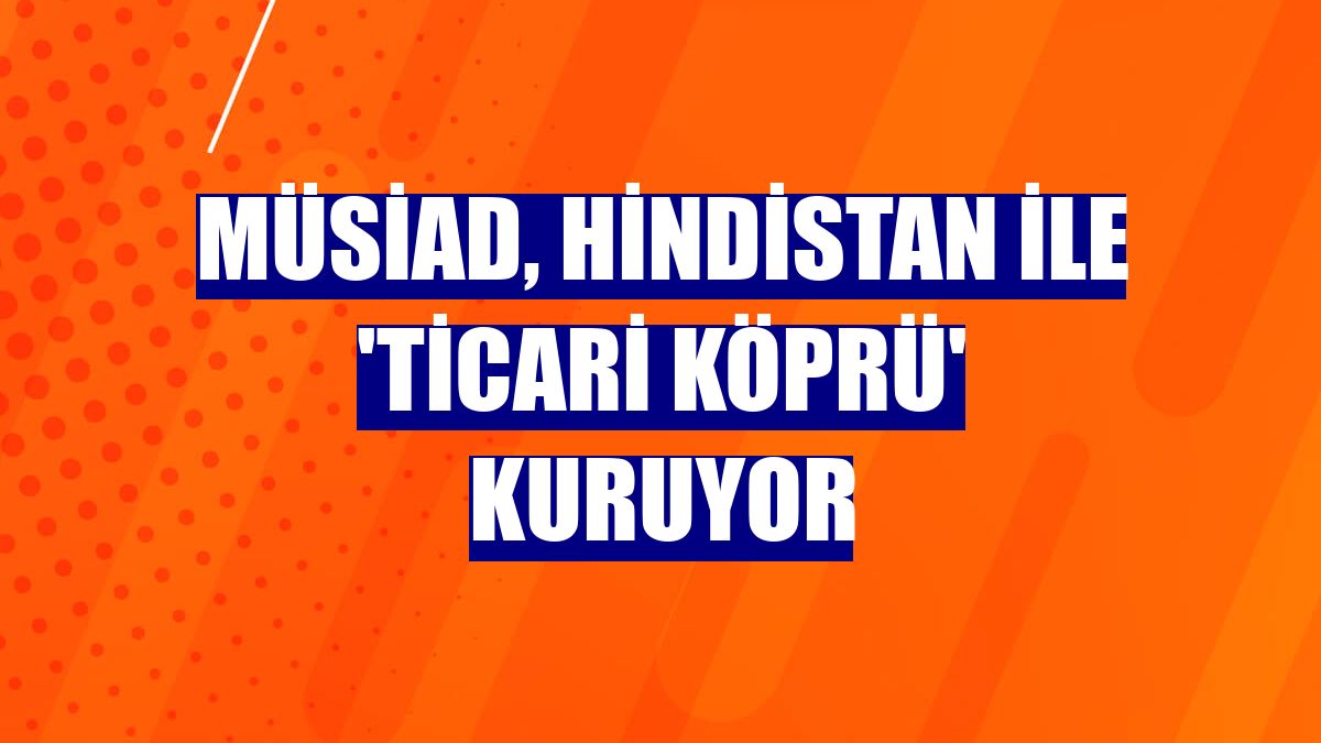 MÜSİAD, Hindistan ile 'ticari köprü' kuruyor