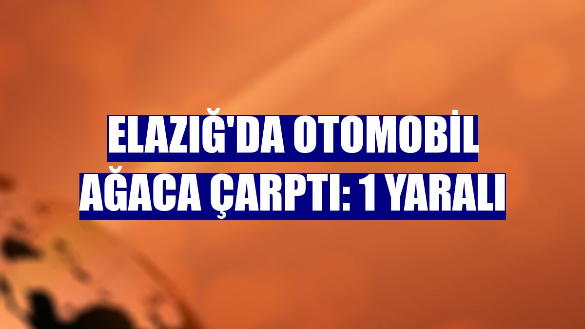 Elazığ'da otomobil ağaca çarptı: 1 yaralı
