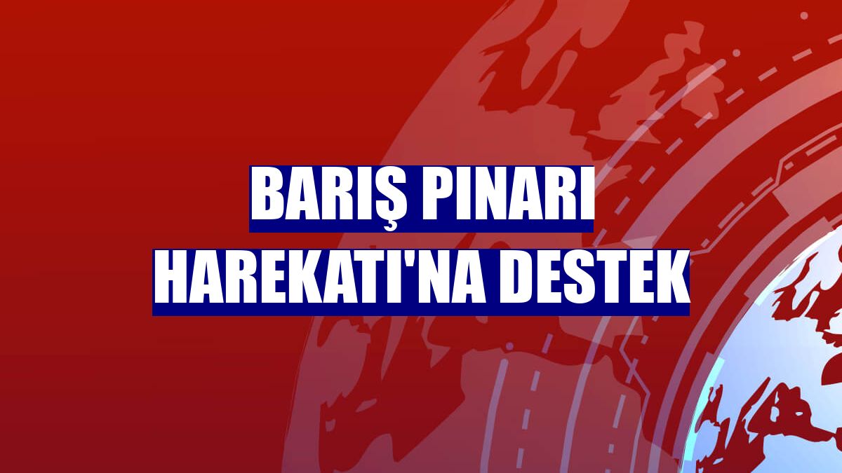 Barış Pınarı Harekatı'na destek