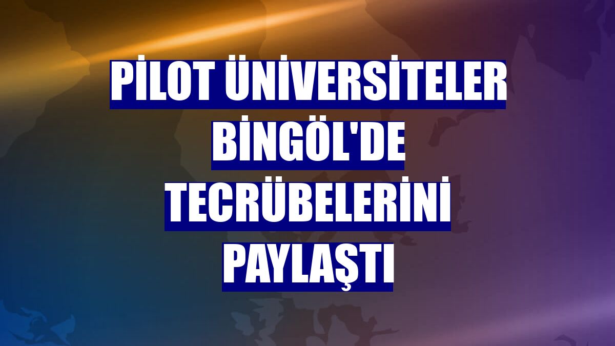 Pilot üniversiteler Bingöl'de tecrübelerini paylaştı
