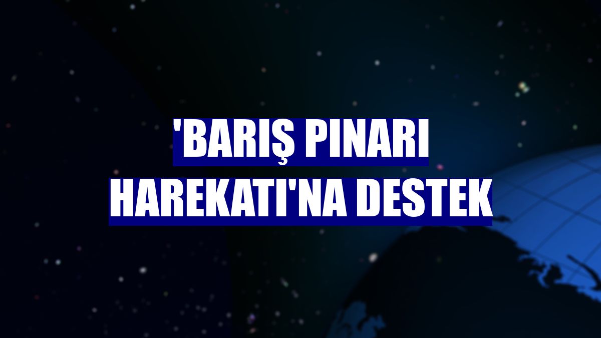 'Barış Pınarı Harekatı'na destek