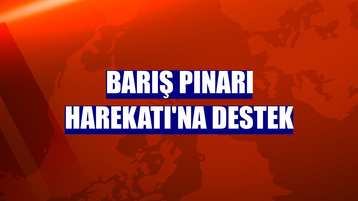 Barış Pınarı Harekatı'na destek