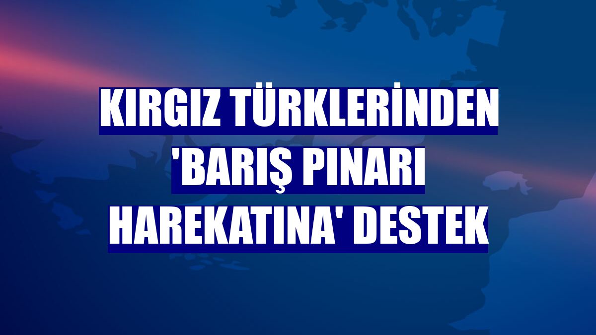 Kırgız Türklerinden 'Barış Pınarı Harekatına' destek