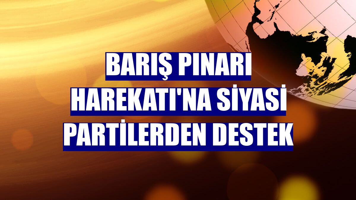 Barış Pınarı Harekatı'na siyasi partilerden destek
