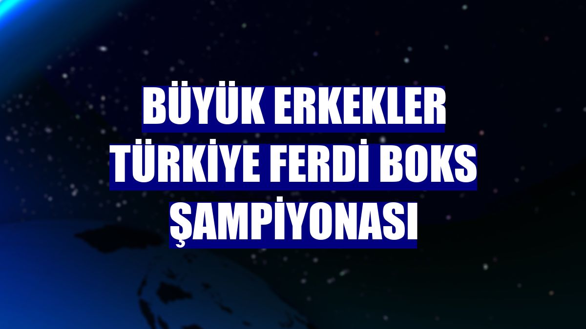 Büyük Erkekler Türkiye Ferdi Boks Şampiyonası