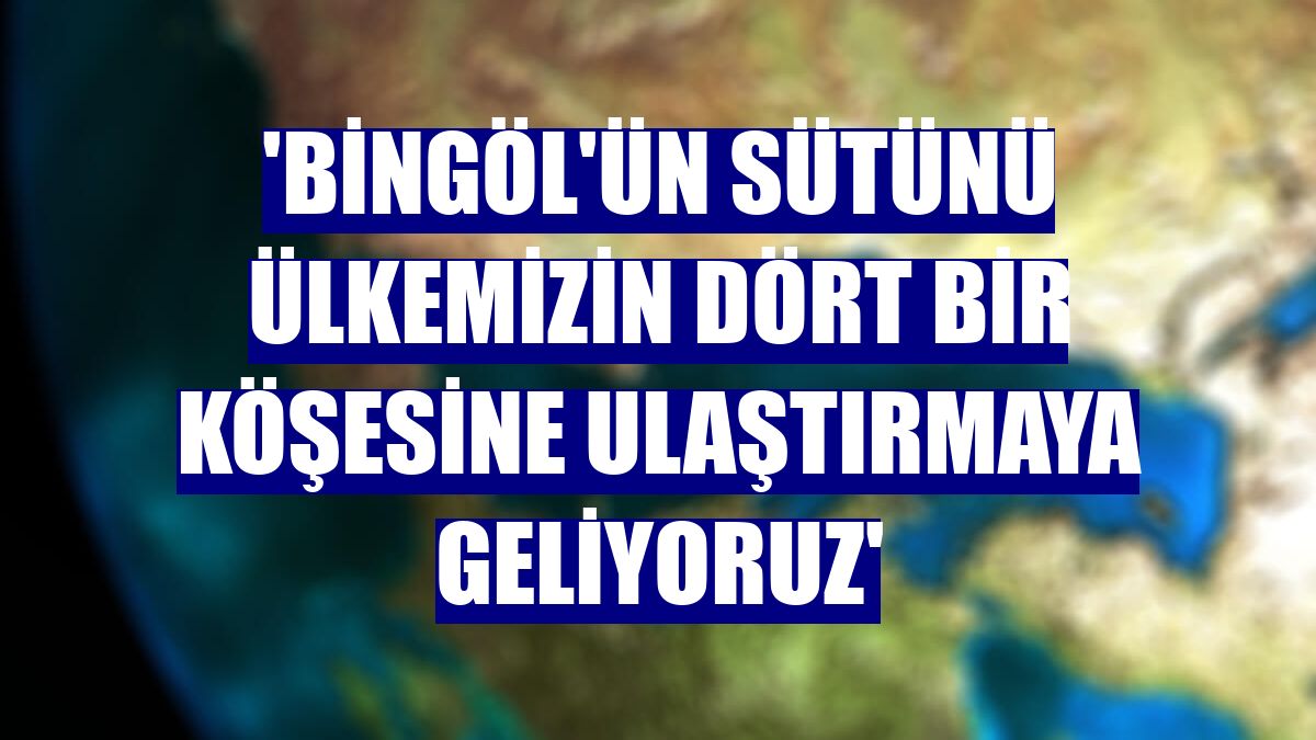 'Bingöl'ün sütünü ülkemizin dört bir köşesine ulaştırmaya geliyoruz'