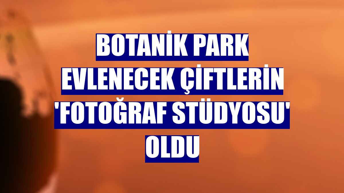 Botanik park evlenecek çiftlerin 'fotoğraf stüdyosu' oldu
