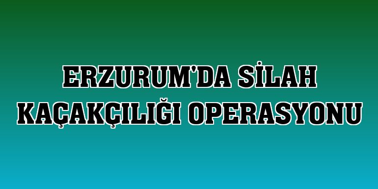 Erzurum'da silah kaçakçılığı operasyonu