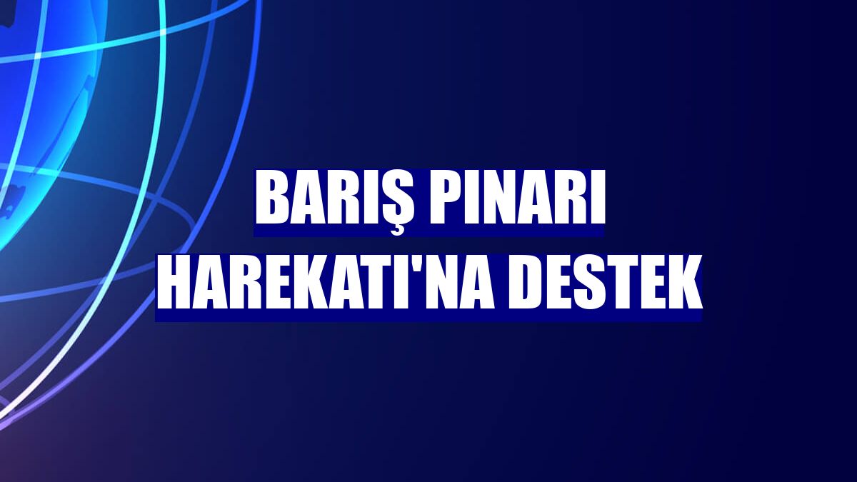 Barış Pınarı Harekatı'na destek