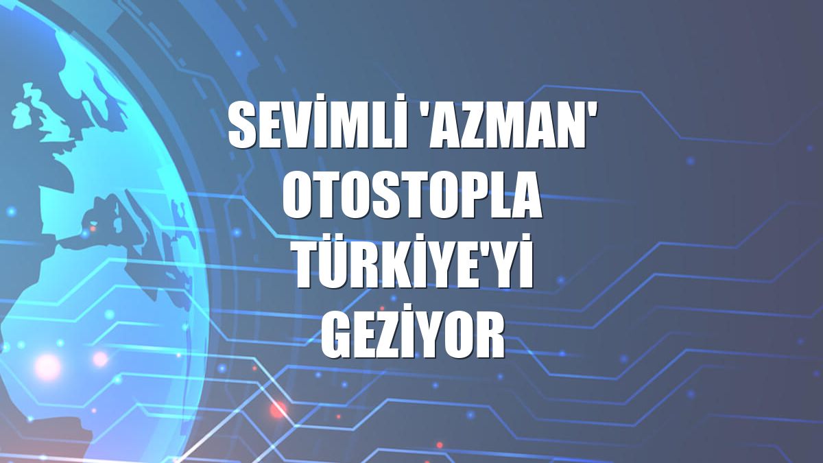 Sevimli 'Azman' otostopla Türkiye'yi geziyor